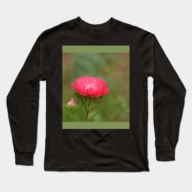 fall red daisy flower in the garden Long Sleeve T-Shirt by unaffectedmoor